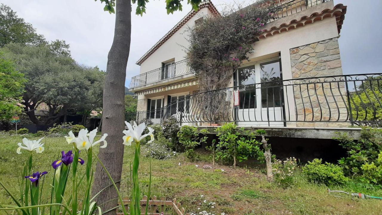 Maison Lumineuse Et Spacieuse Avec Jardin Arbore La Valette-du-Var Zewnętrze zdjęcie