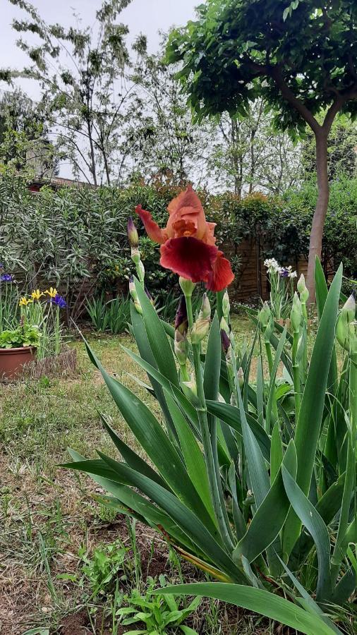 Maison Lumineuse Et Spacieuse Avec Jardin Arbore La Valette-du-Var Zewnętrze zdjęcie