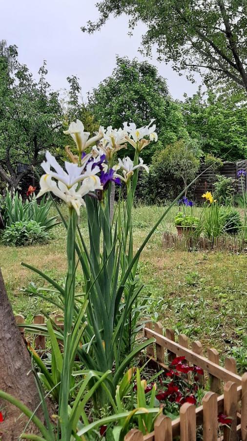 Maison Lumineuse Et Spacieuse Avec Jardin Arbore La Valette-du-Var Zewnętrze zdjęcie